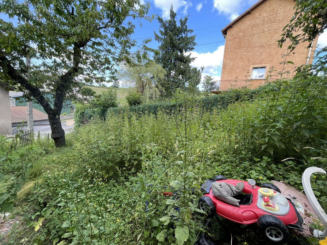 Photo 6 - Appartement à AMPLEPUIS