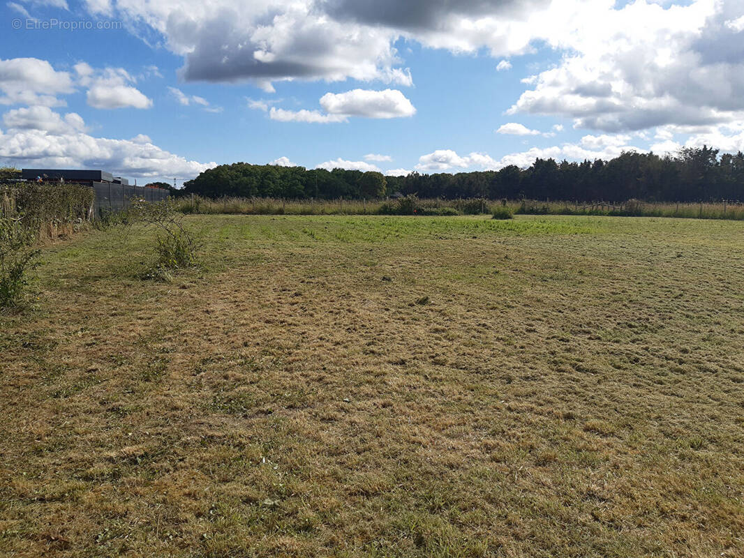 Terrain à DREFFEAC