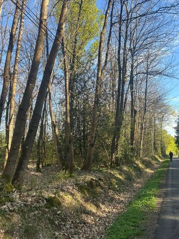 Terrain à LE VIEIL-BAUGE