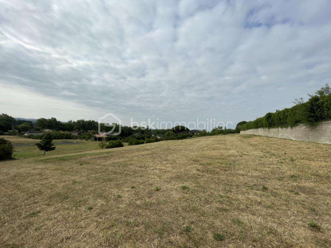 Terrain à RABASTENS