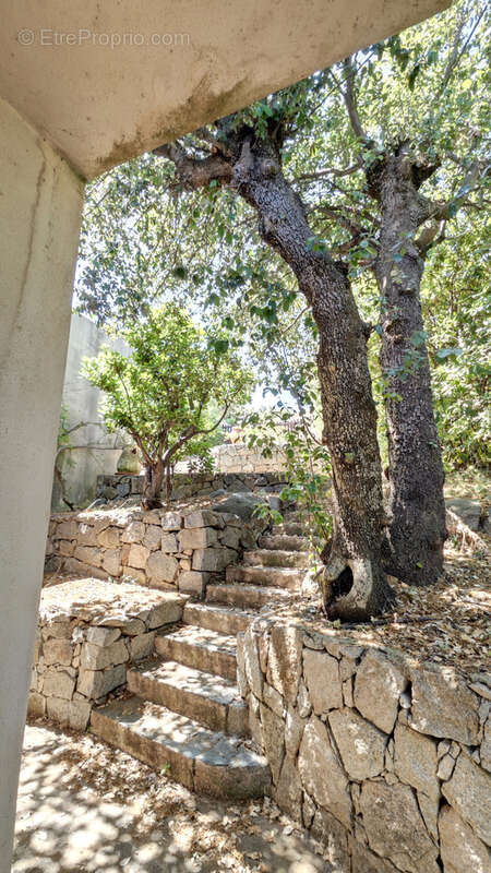 Maison à PORTO-VECCHIO