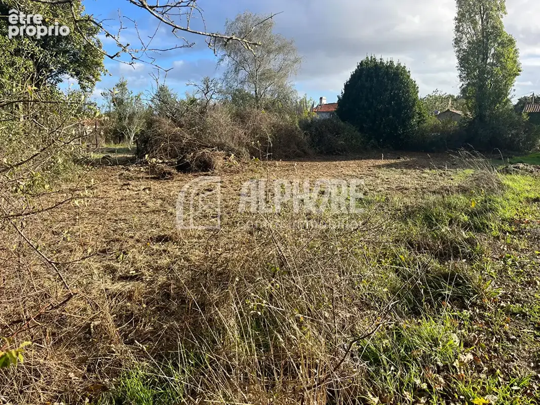 EXCLUSIVITÉ Terrain Chaumes En Retz 671 m2 - photo 2