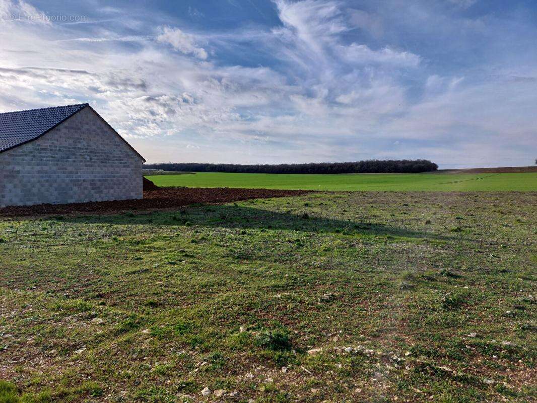 Terrain Brecy 1496 m2 -En exclusivité - photo 4