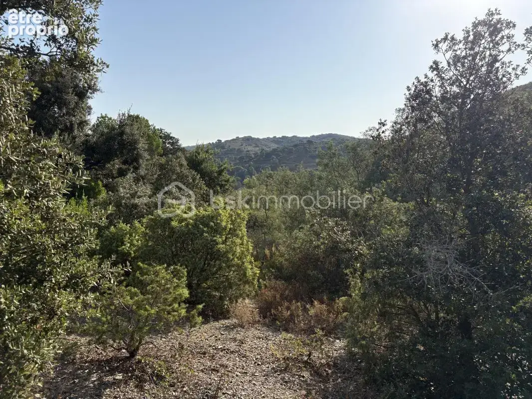 Lot de 5 terrains agricoles - photo 3