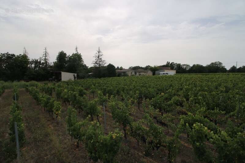 Maison à PUISSEGUIN