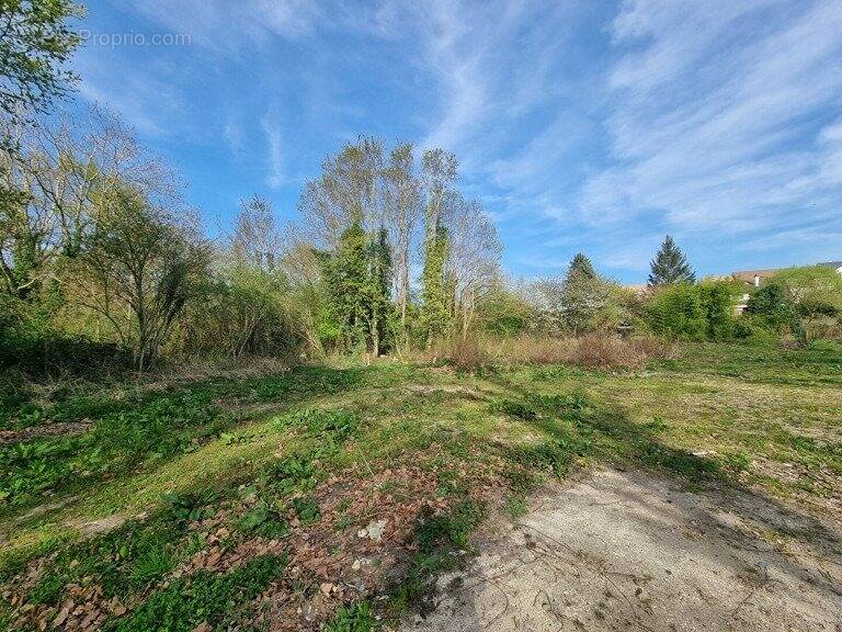 Terrain 822 m² à Villiers-Saint-Frederic  - photo 1
