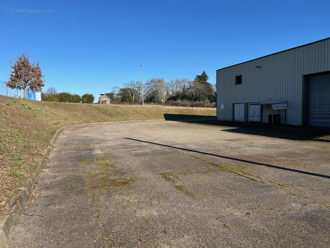 Commerce à BARBASTE