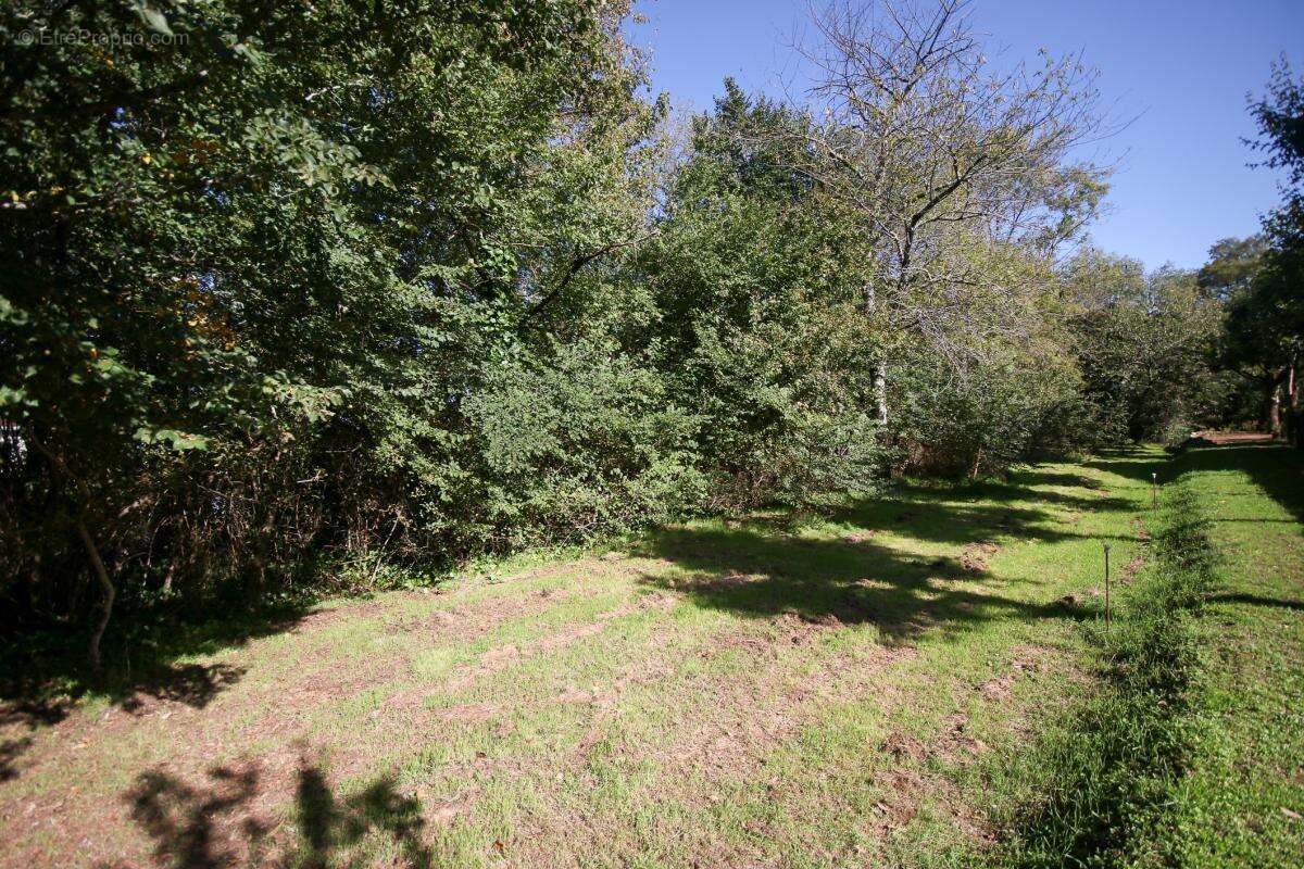 Appartement à GOND-PONTOUVRE