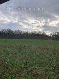 Terrain à JAUNAY-CLAN