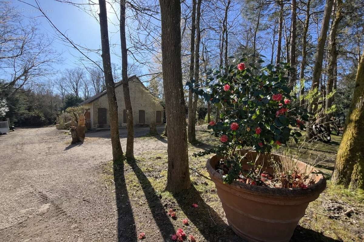 Maison 186 m² à Rambouillet  - photo 14