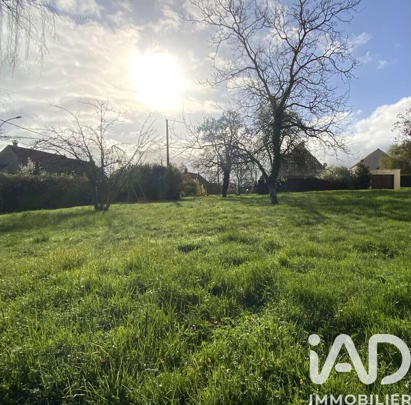 Photo 7 - Terrain à LES GRANGES-LE-ROI