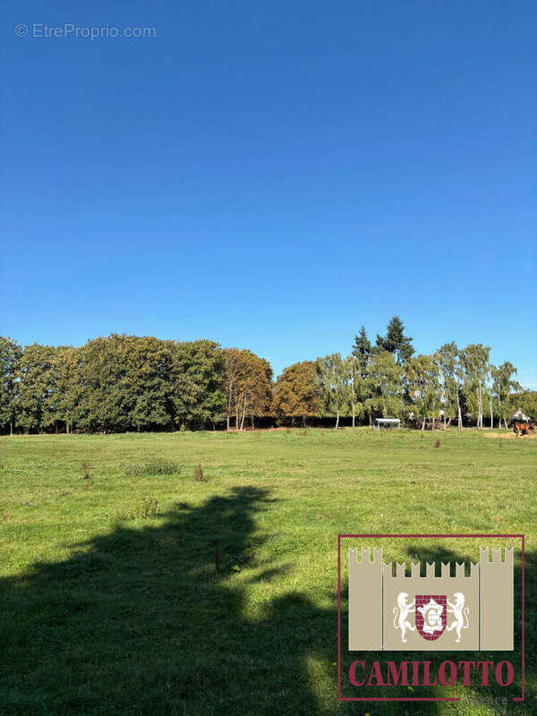 Terrain à NOGENT-LE-ROI