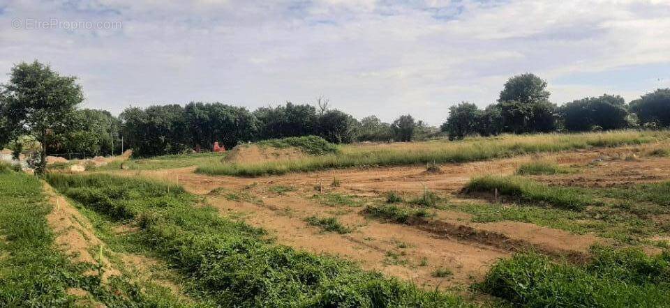 Terrain à SARGE-LES-LE-MANS