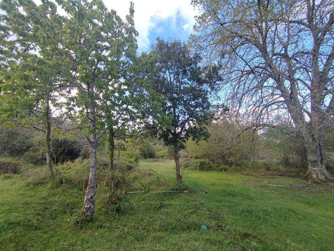 Terrain à QUENZA