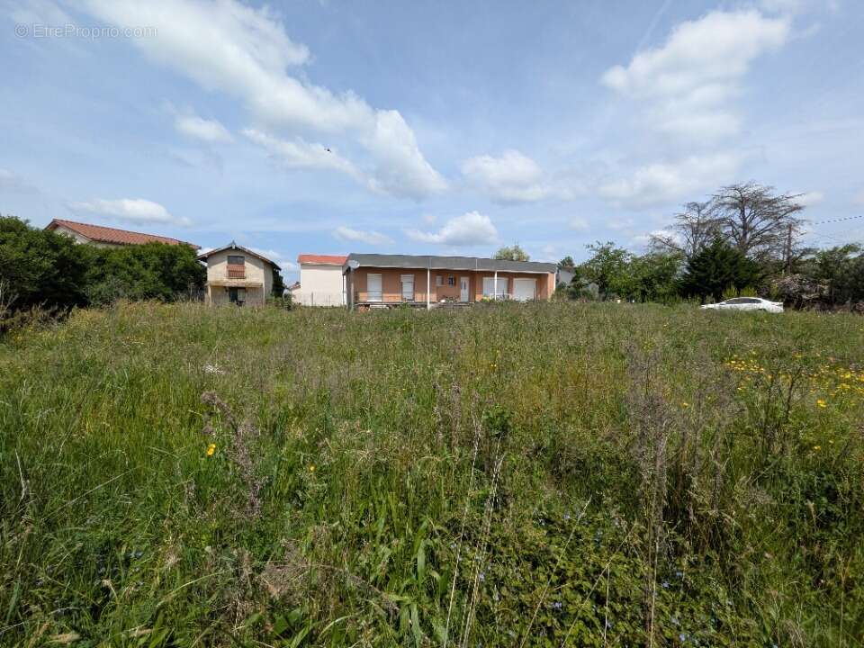 Terrain à VILLARS-LES-DOMBES