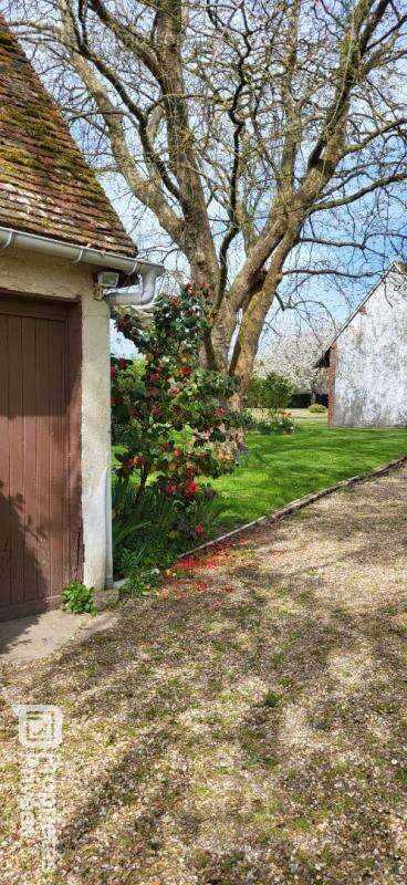 Propriété de campagne (+prairie) - photo 14