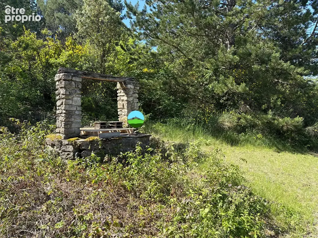Villes sur Auzon, maison à rénover avec 2 dépendances et piscine sur parcelle de plus d'un Ha - photo 6