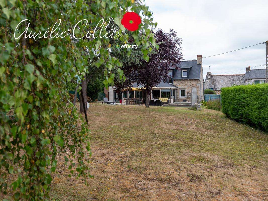 Maison 175 m² à Yffiniac  - photo 33