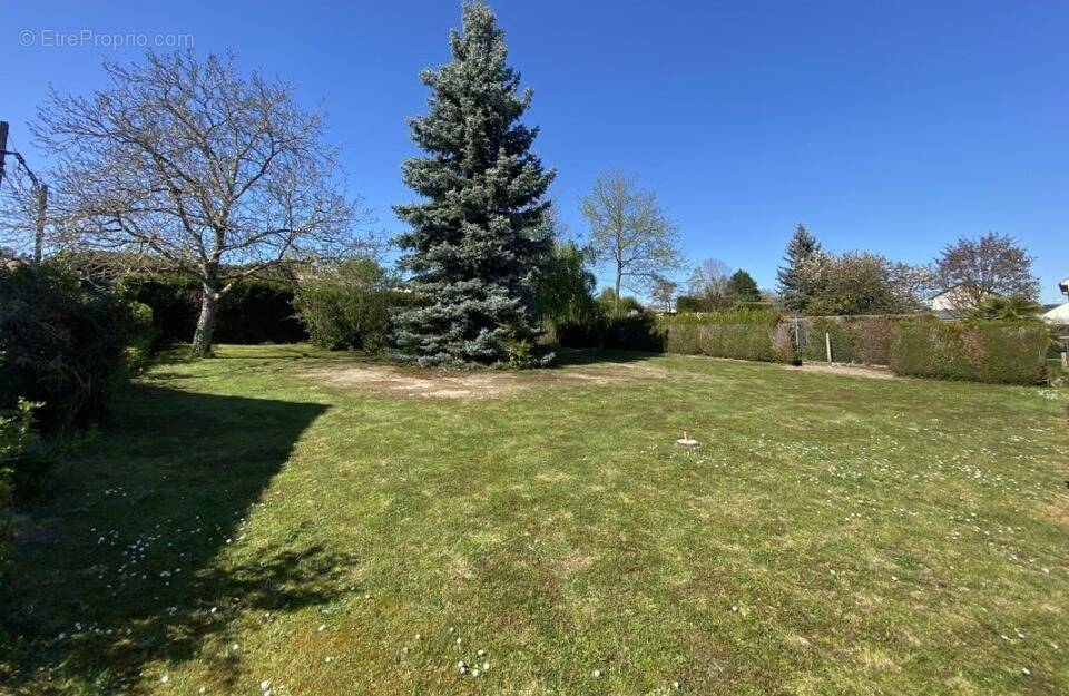 Terrain à SAINT-GERMAIN-LES-ARPAJON