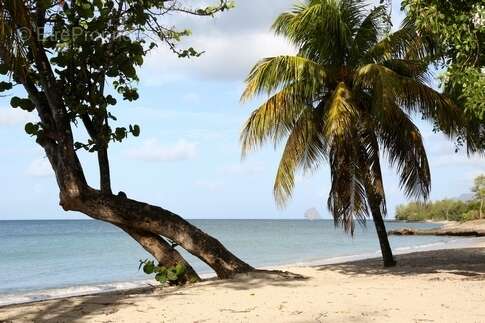 Appartement à SAINTE-LUCE