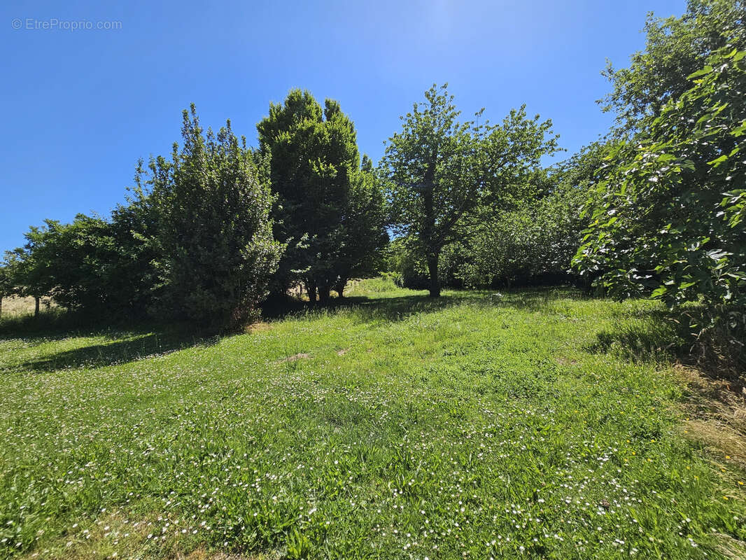 Maison à VERDUN-SUR-LE-DOUBS