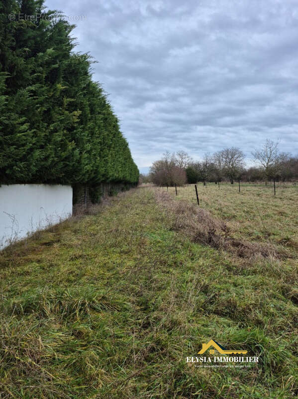 Terrain à VALLEROY