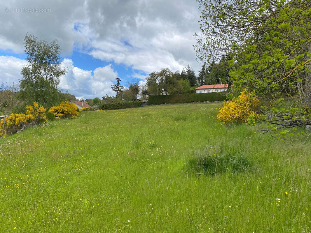 Terrain à CRAPONNE-SUR-ARZON