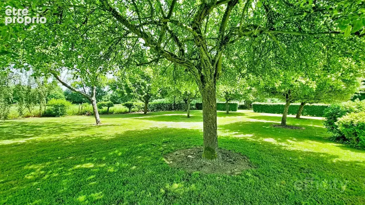 Demeure ancienne - photo 12