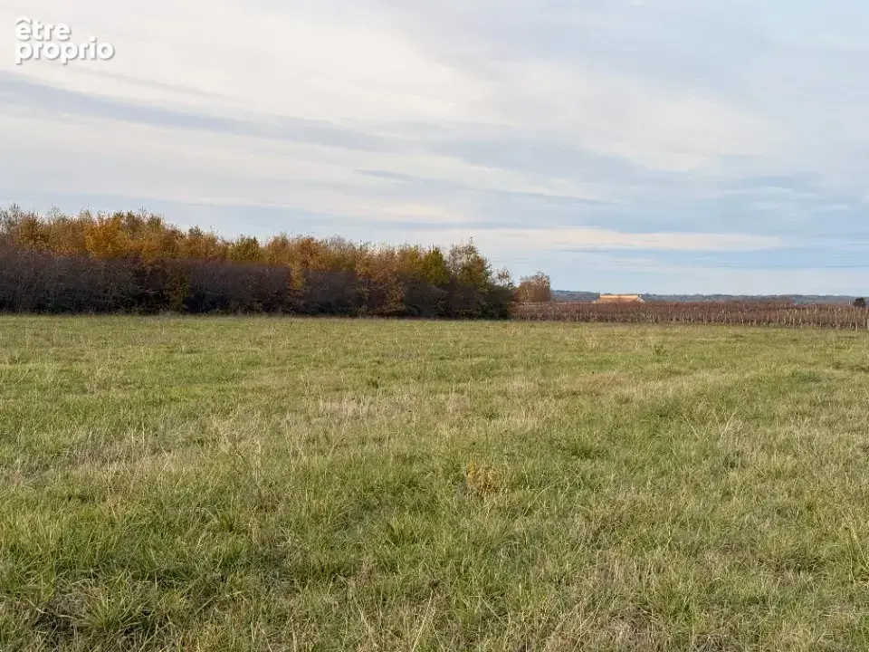 Terrain 950 m² à vendre à Saint-Laurent-Des-Vignes (24100) - photo 2