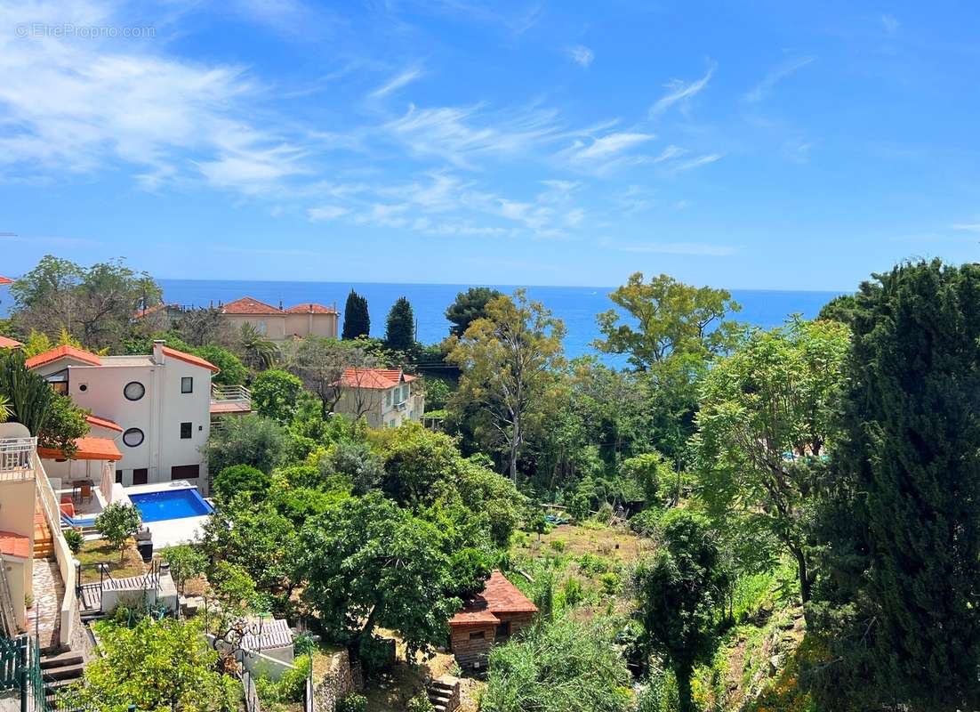 Monaco et plages a pieds ,Golf Bleu - photo 3