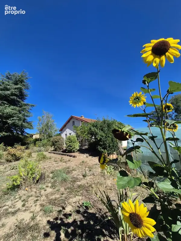 Maison de plain-pied avec 2 644 m2 de terrain st jean sur veyle - photo 8