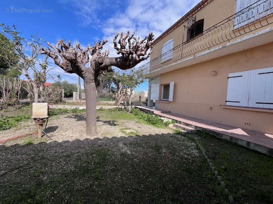 Maison à RIVESALTES