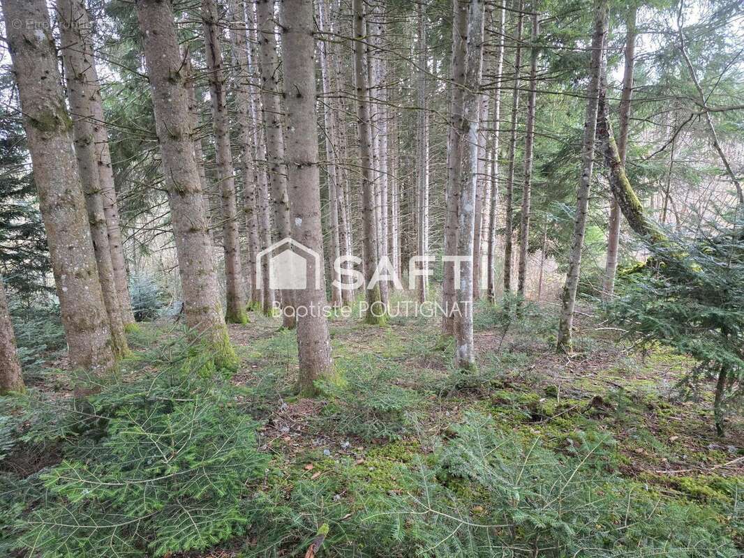 Photo 7 - Maison à AMBERT