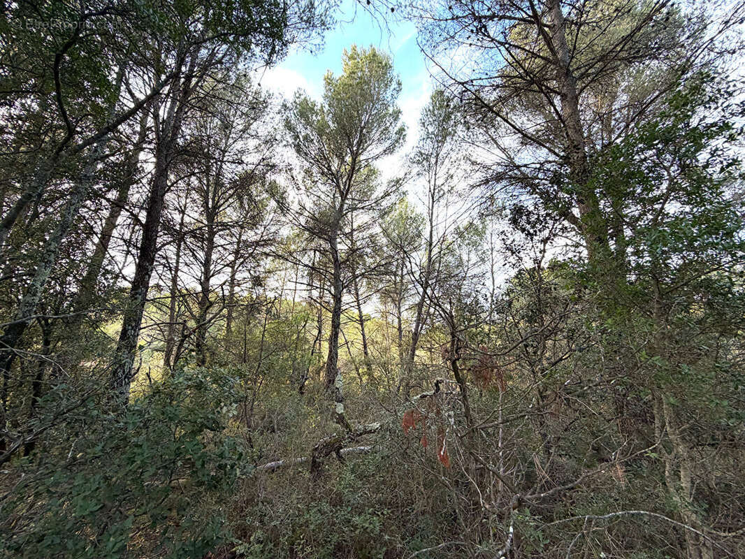 Terrain à BARJOLS