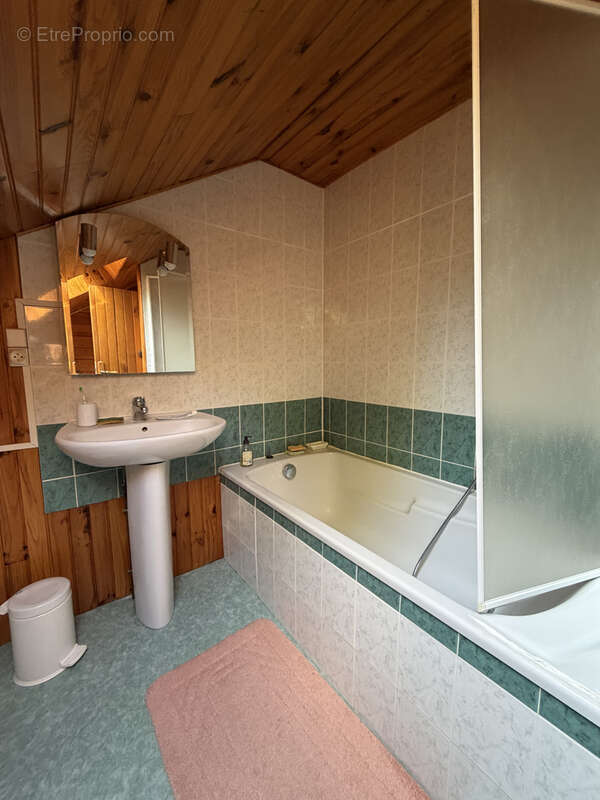 Chalet sur les hauteurs de laveissiere - photo 19