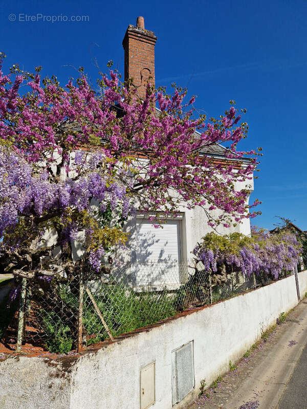 Maison à SELLES-SUR-CHER