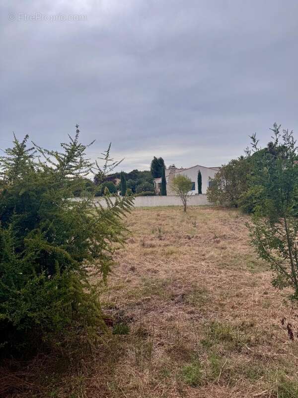 Terrain à MARSEILLE-11E