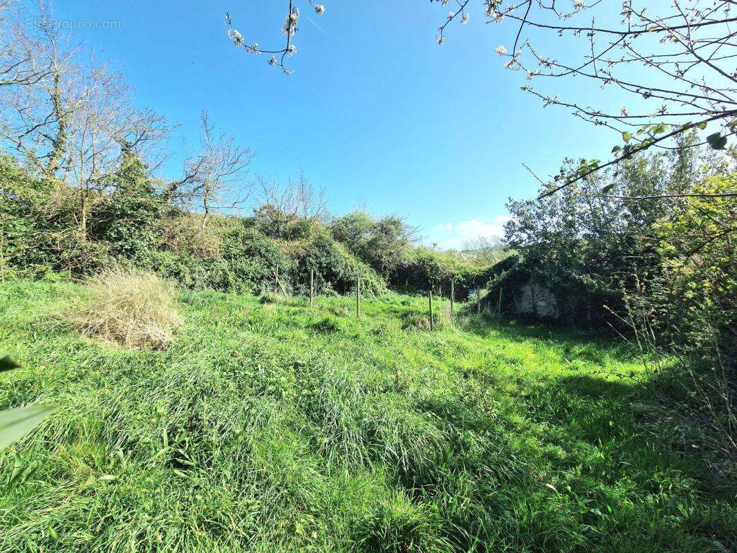 Maison à BEAUMONT-HAGUE