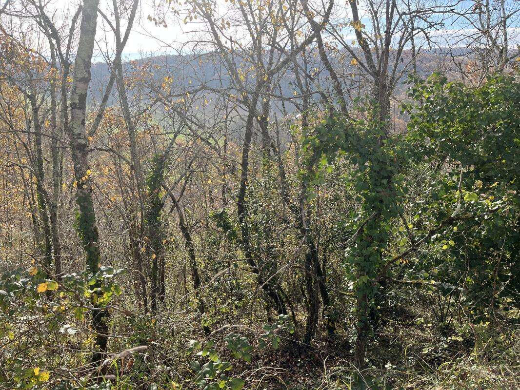 Terrain à SAINT-PIERRE-DE-CLAIRAC