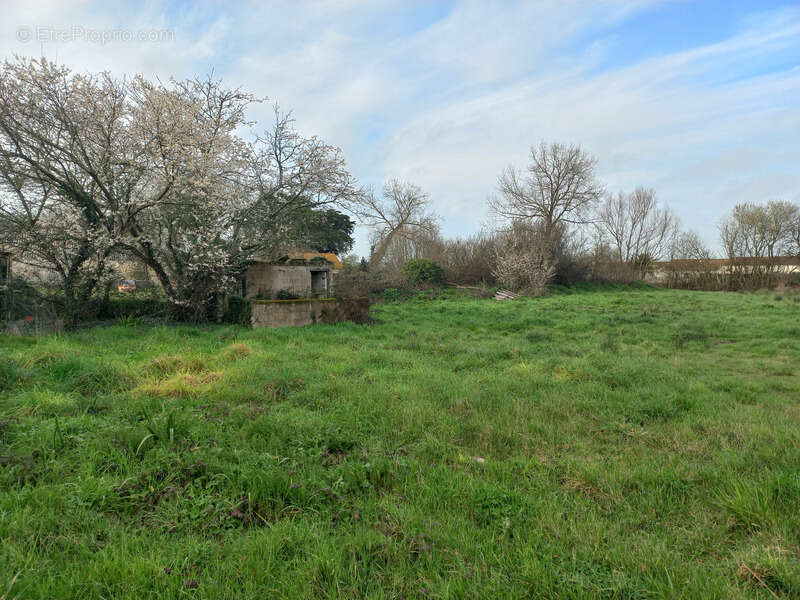 Terrain à SAINT-JEAN-DE-MONTS