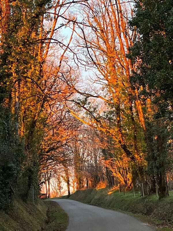 Maison à MAZEROLLES