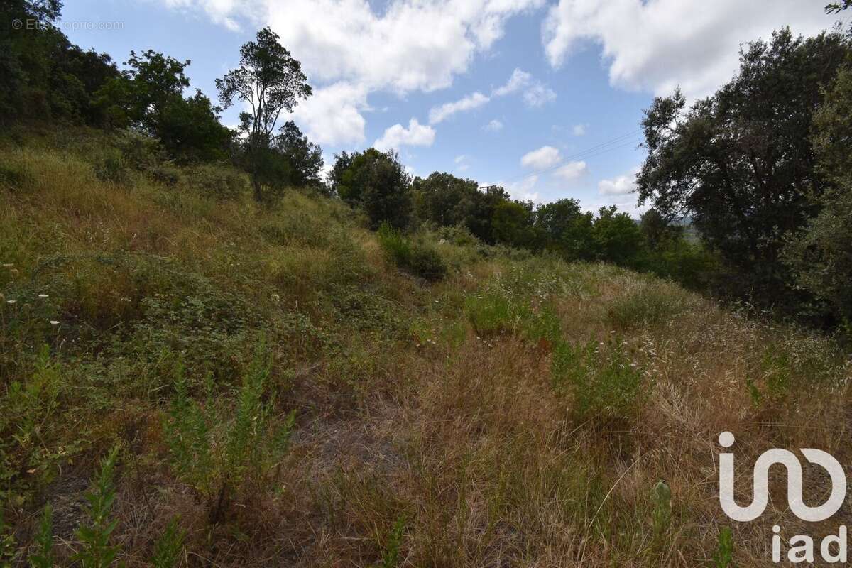Photo 6 - Terrain à QUINTILLAN