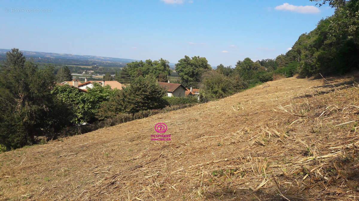 Terrain à MORAS-EN-VALLOIRE