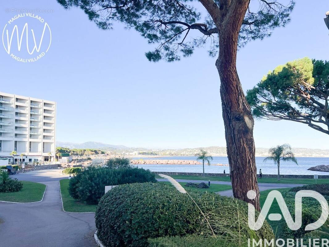 Photo 1 - Appartement à MANDELIEU-LA-NAPOULE