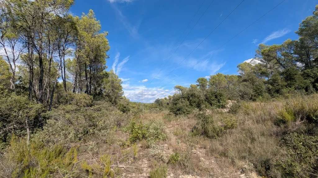 Terrain à ENTRECASTEAUX