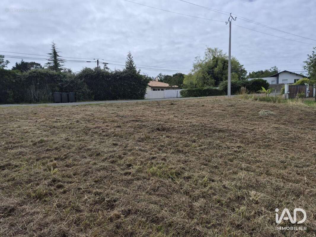 Photo 3 - Terrain à SAINT-ANDRE-DE-SEIGNANX