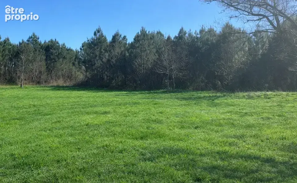 Terrain à SALLES