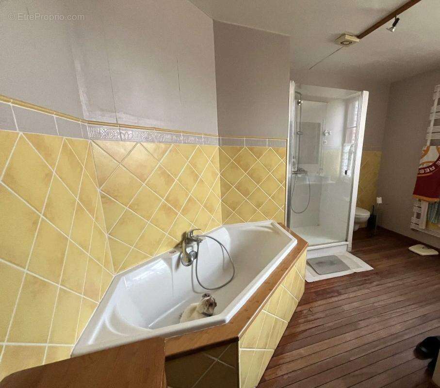 Belle demeure avec piscine exceptionnelle ! - photo 10