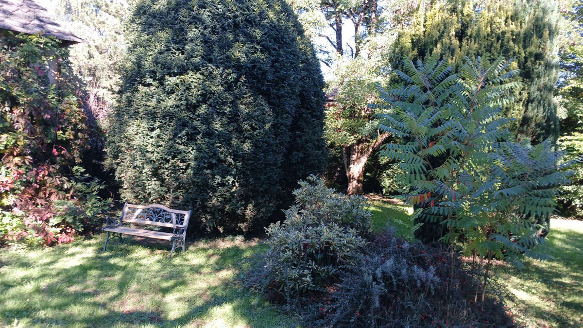 Maison à ALLY