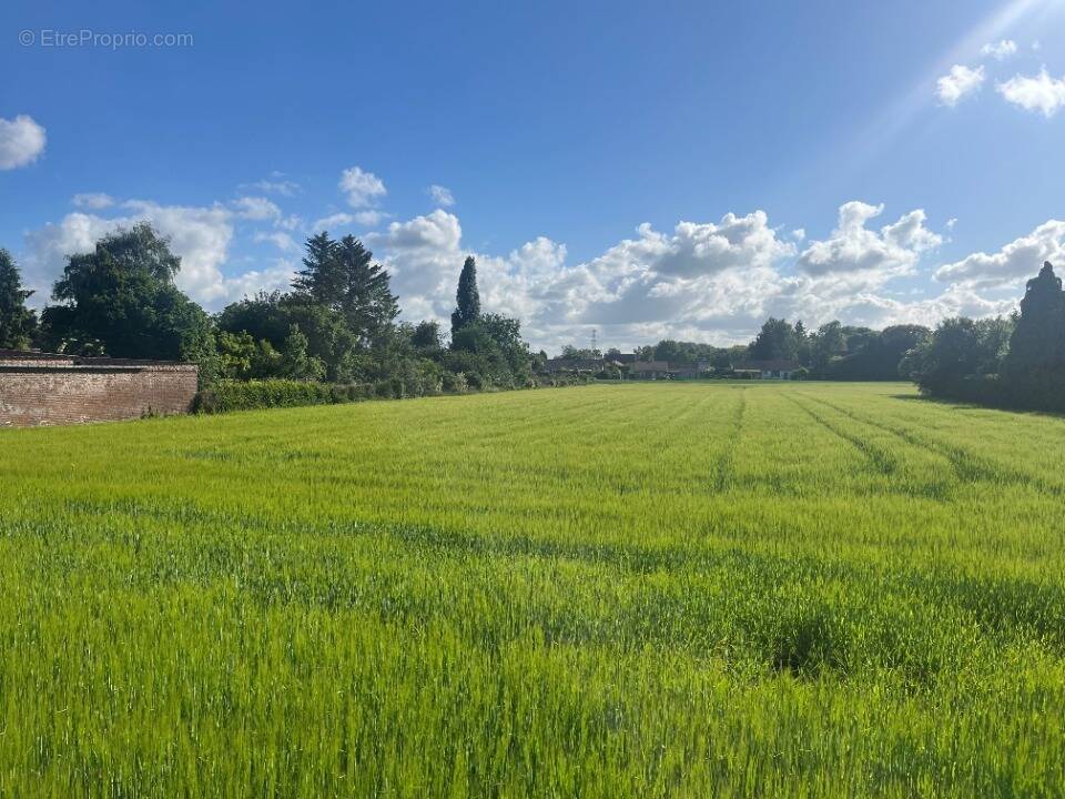 Terrain à LABOURSE